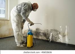 Best Black Mold Removal  in Lancaster, TX